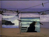 animated rotating image here