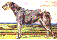 Wolfhound