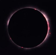 Prominences; Click image for higher resolution (63K)