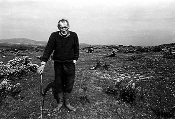 Wicklow Hill Farmer