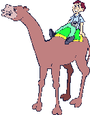 Camel