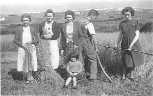 Harvest time 1946 (189549 bytes)