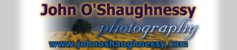 John O'Shaughnessy Online