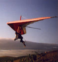 A hang glider