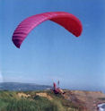 A paraglider