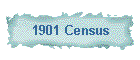 1901 Census