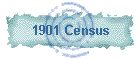 1901 Census