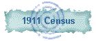 1911 Census