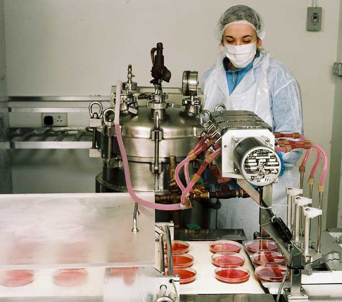 lab