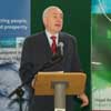 bertie aherne