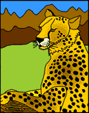 Image of a cheetah