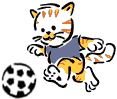 Image of cat playing football