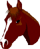 Image of a horse