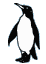 Image of a penguin