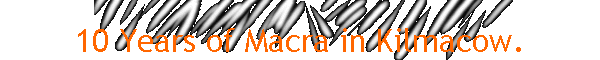 10 Years of Macra in Kilmacow.