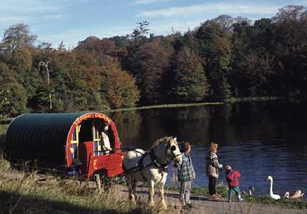 Horse Drawn Caravan