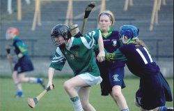 Camogie Players Colaiste Muire Johnstown