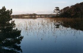 Muckross Lake (photo Mike Sandover)