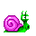 Snail