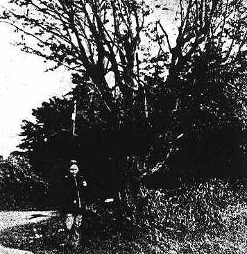 Catherine Murray at The Bush of Balgaddy back in the 70's (from Lucan Old & New) 