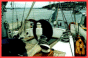The Stern