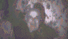 Animation of videos icon