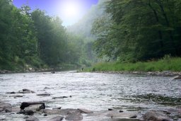 Fishing near Maglin Vale B&B