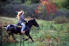 Horse Riding near Maglin Vale B&B