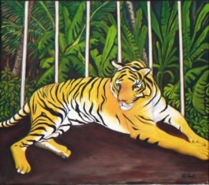 Jill Teck's Tiger Collection