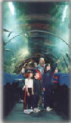 dhh004005.jpg