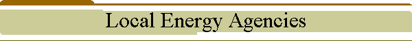 Local Energy Agencies