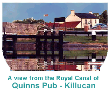 Picture of Quinns Pub form the Royal Canal