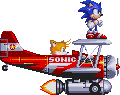 Sonic the Hoop!