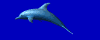 Marine Theme Parks