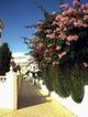 Laneway