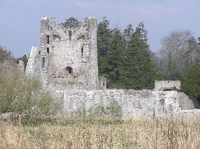 Adare Castle