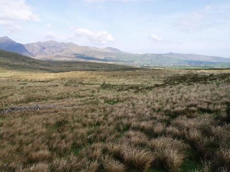 View of lower Valley from Lough Adoon with Mt Brandon to the west.