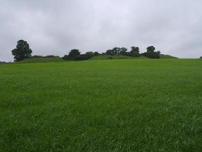 View of North side Dowth Henge