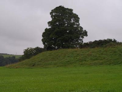 View of embankment- North East side of Dowth Henge