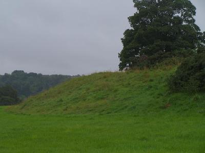 View of embankment- North East side of Dowth Henge.
