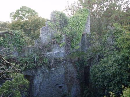 Internal view of upper South wall of Lanestown Castle