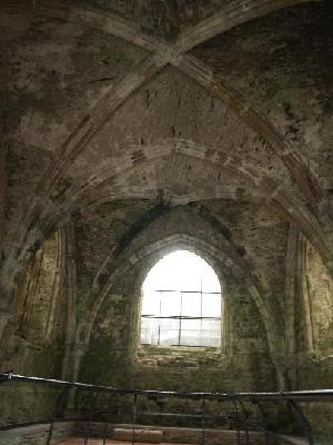 View of Chapter house interior ceiling - Mellifont Abbey.