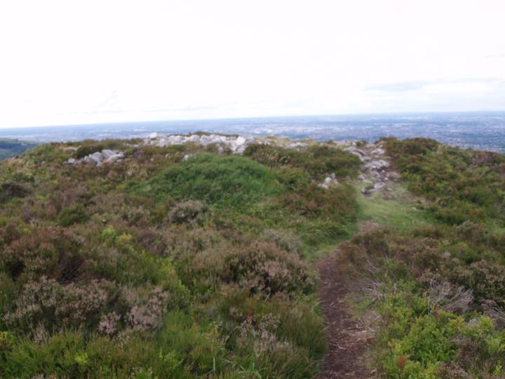 View of Tibradden Cairn