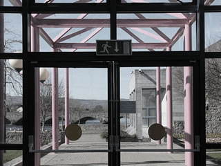 limerick city hall entrance