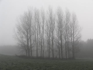 foggy day in shannon town, co.clare, ireland