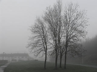 foggy day in shannon town, co.clare, ireland