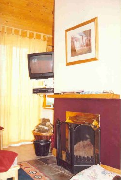 The cosy fireplace with supply of logs.