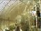 Greenhouse, inside view, Botanic Gardens, Dublin.