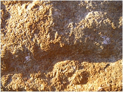 yellow rock