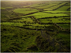 fields